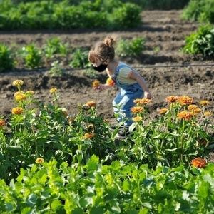 Meet your Posher, Crystal